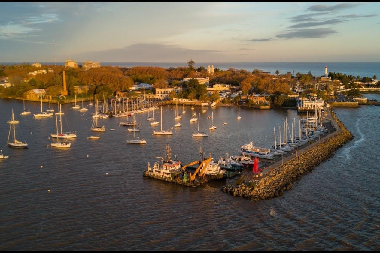 Day Tour Wine + Finca