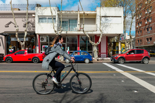 Day Tour + Bicicleta