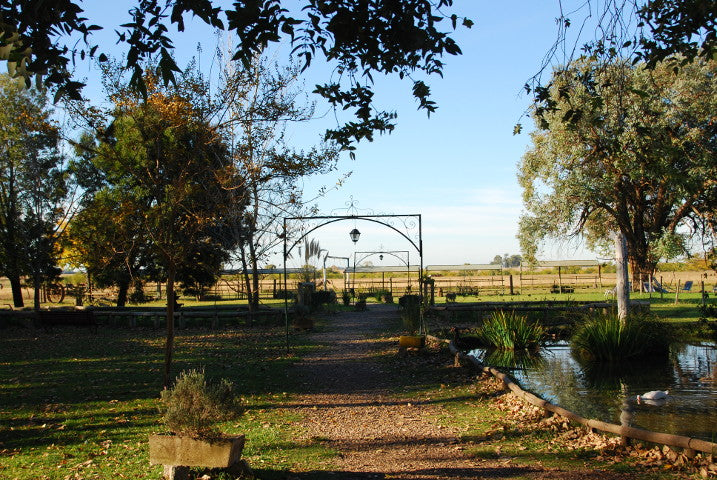 Don Silvano