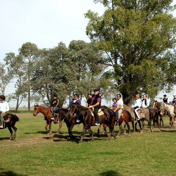 Don Silvano