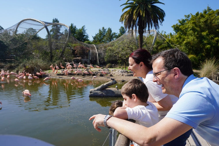 Passeio Bioparque Temaiken
