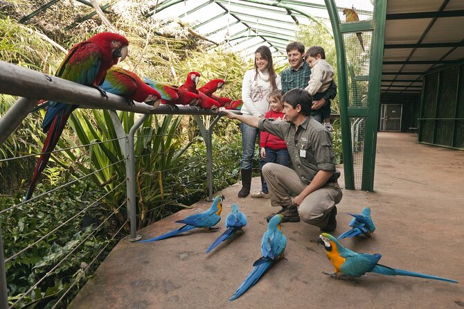 Passeio Bioparque Temaiken