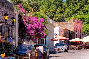 Day Tour Wine + Finca