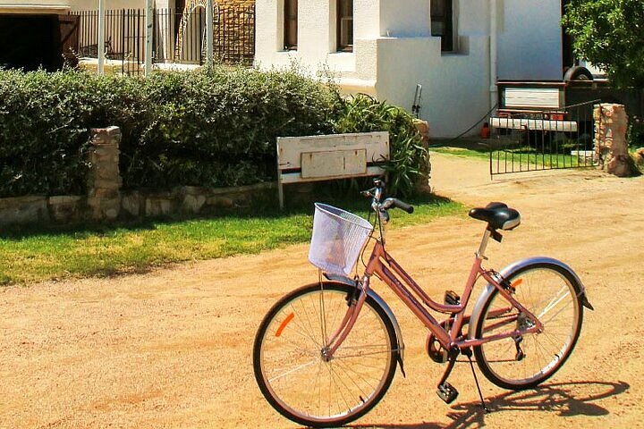 Day Tour + Bicicleta