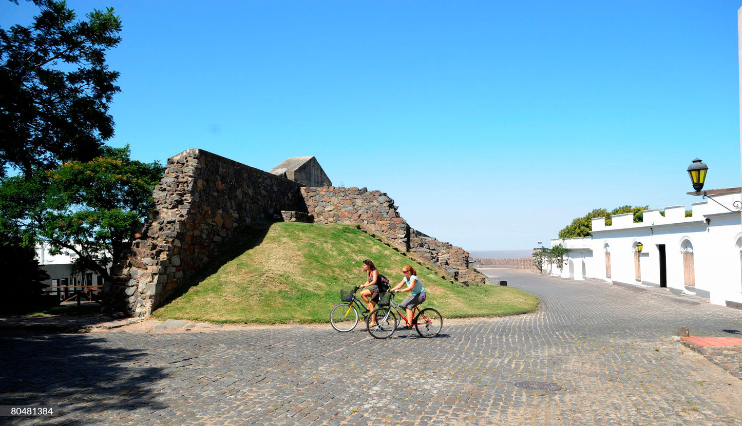 Day Tour + Bicicleta