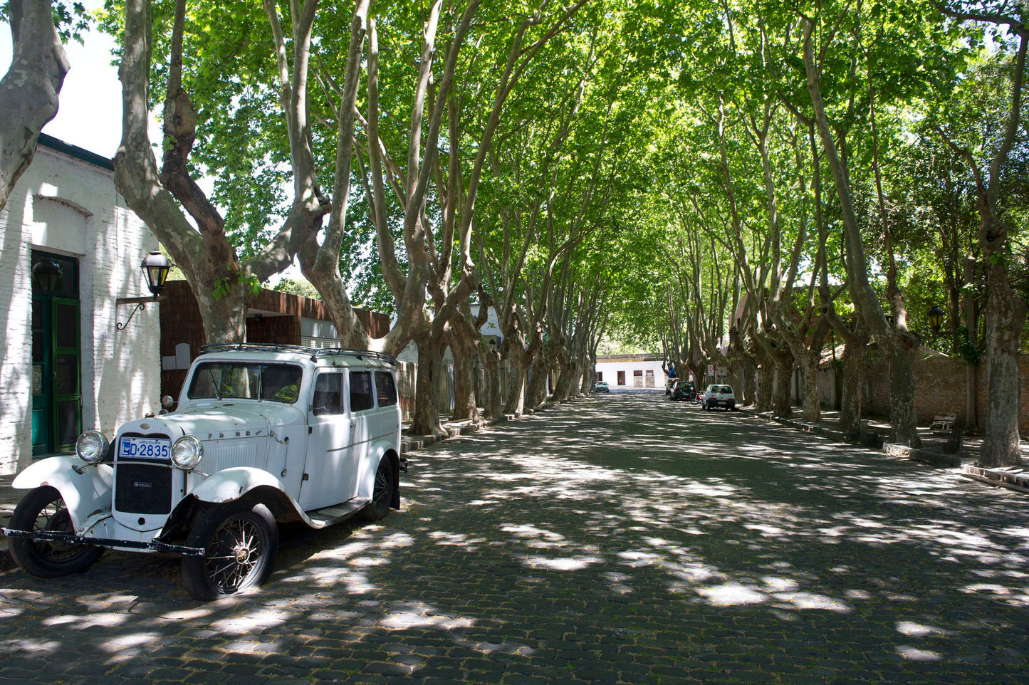 Day Tour Wine + Finca