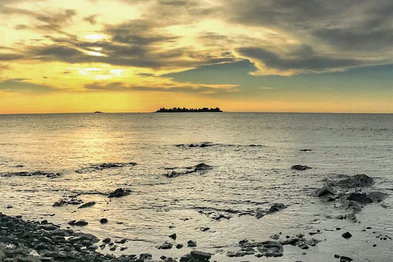 Day Tour Vianda a Bordo