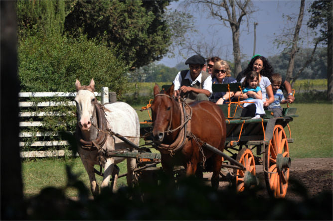 Don Silvano