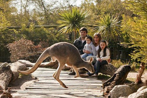 Passeio Bioparque Temaiken