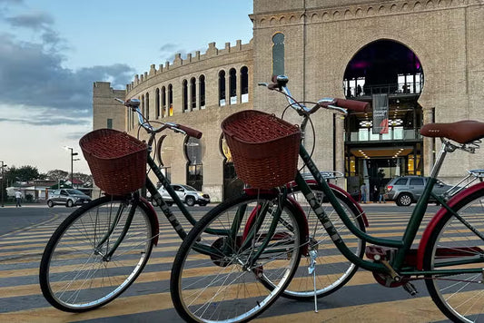 Day Tour + Bicicleta